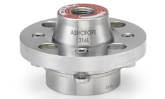 102-103 Flanged Diaphragm Seals from Ashcroft