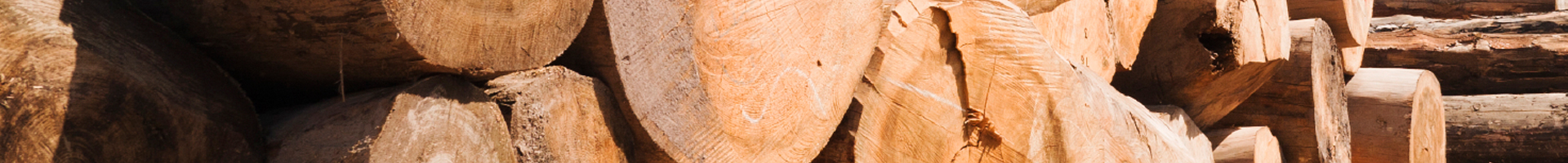 Forestry Products