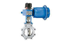 Jamesbury® Series 800 Butterfly Valve