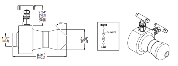 Weldolet Double Block Gauge Valves
