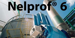 Nelprof 6