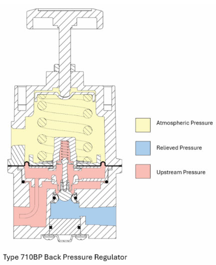 Cross-sectional view of Type 710BP
