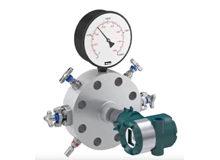 Process instrumentation and Control - Dual Instrument Mounting Monoflanges