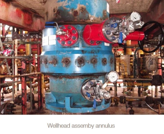wellhead-assembly-annulus